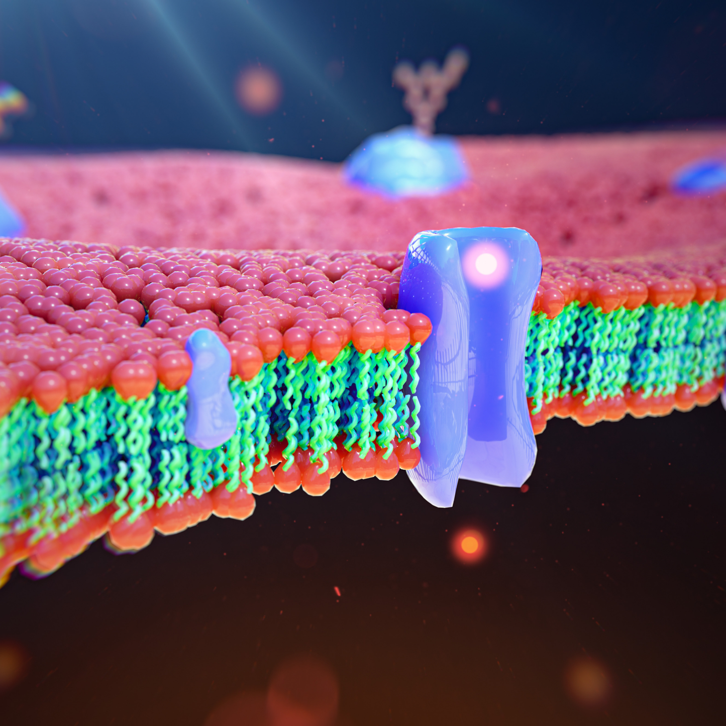 The Cell Membrane - The Gatekeeper of Life