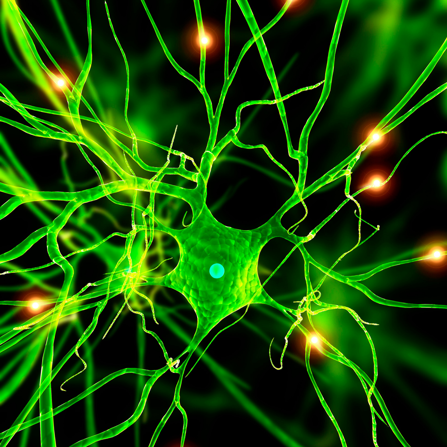 Eicosanoids, Essential Fatty Acids, Hempseed oil - The Health Link