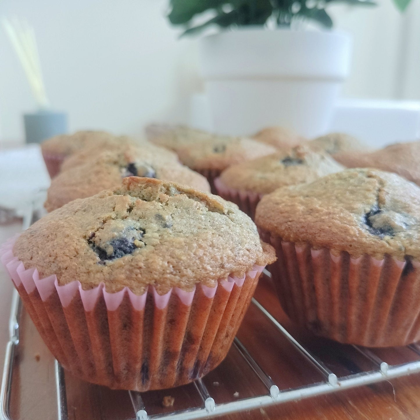 Healthy Moist Blueberry Muffins