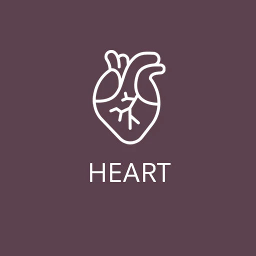 Essential Fats for a Healthy Heart: The Role of Polyunsaturated Fatty Acids (PUFA)